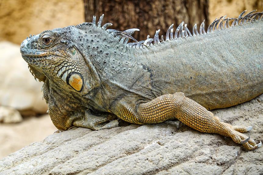 building a conservatory project