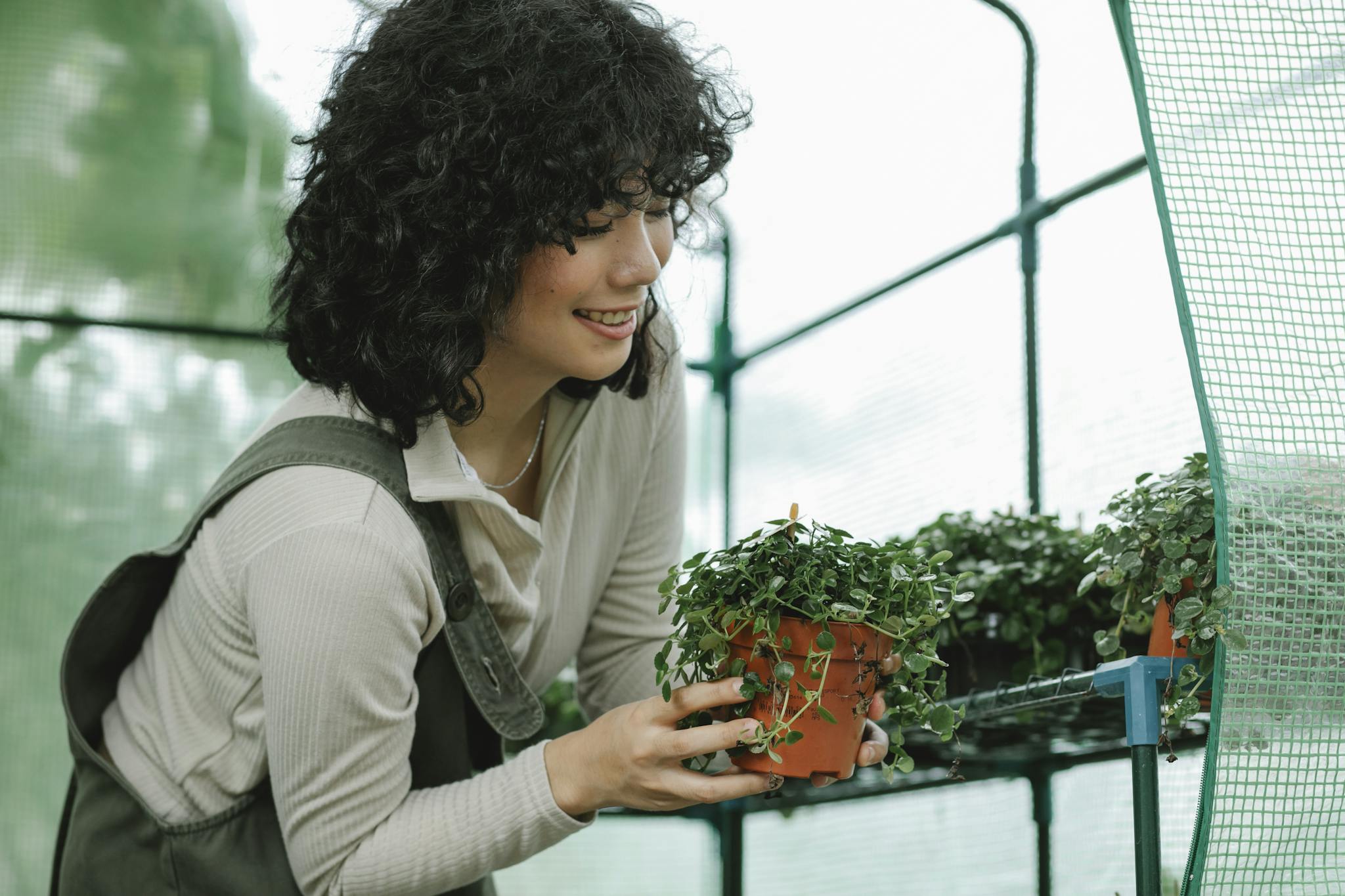 Ethnic female gardener caring about potted plant in greenhouse