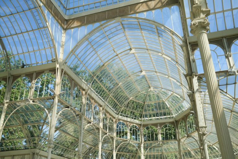 Glass Roof of Conservatory