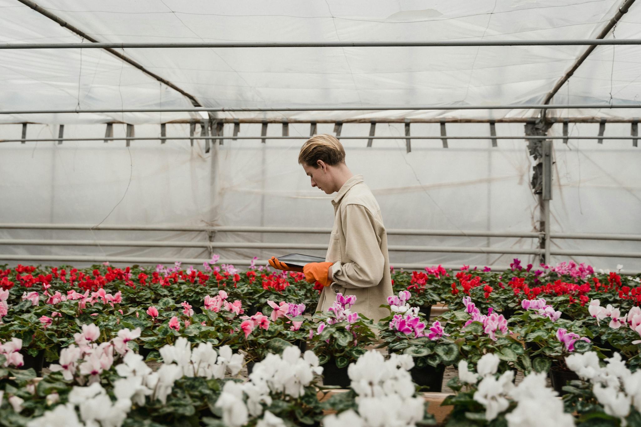 Man surrounded with Flowering Plants